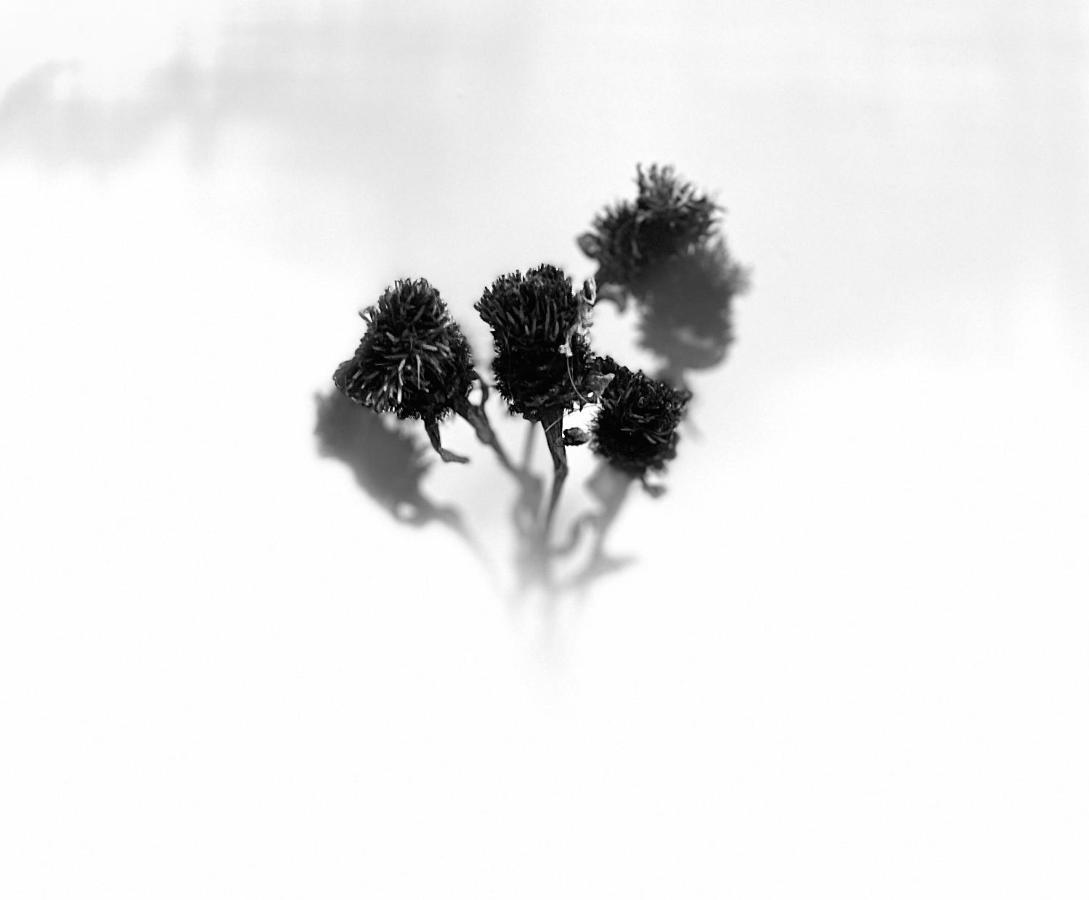 נאירן Grey Stag Apartment מראה חיצוני תמונה